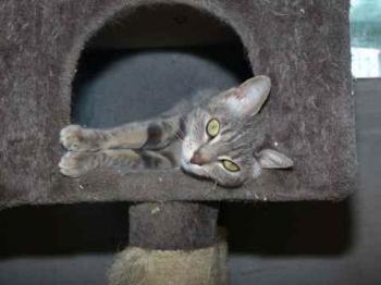 Bild von Gilda