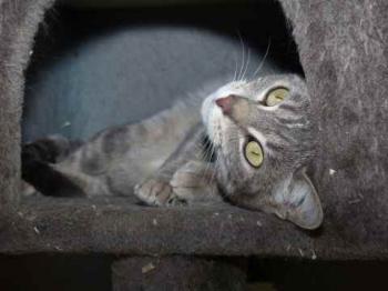 Bild von Gilda