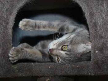 Bild von Gilda