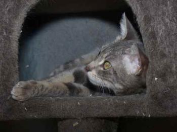 Bild von Gilda