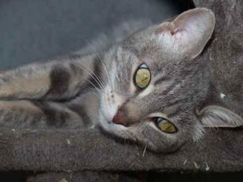 Bild von Gilda