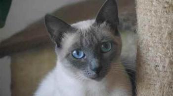 Bild von Isra