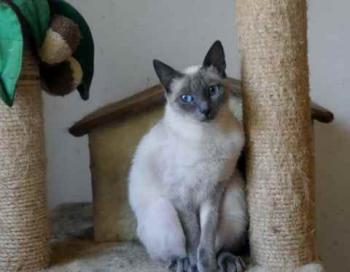 Bild von Isra