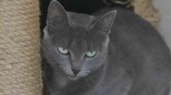 Bild von Jana