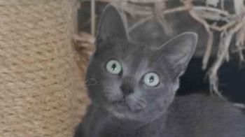 Bild von Jana