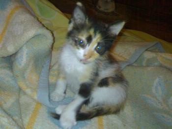 Kira Bild von Kira