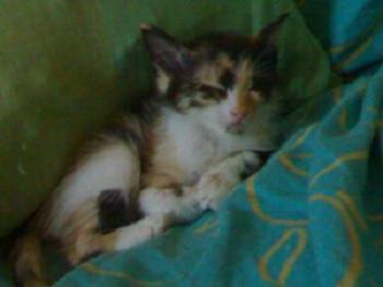 Kira Bild von Kira