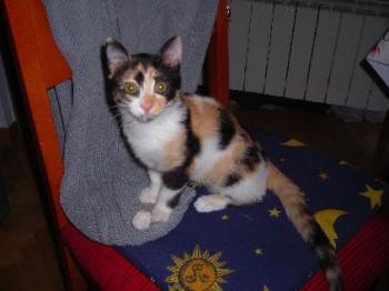 Kira Bild von Kira