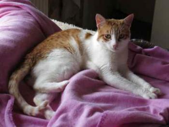 Mandy Bild von Mandy