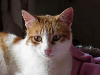 Mandy Bild von Mandy