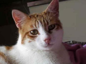 Mandy Bild von Mandy