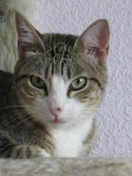 Bild von Sakima