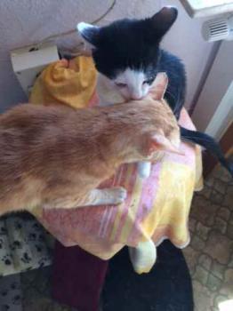 Elfriede Bild von Elfriede