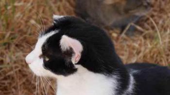 Rocky Bild von Rocky
