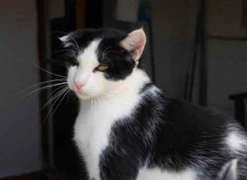 Rocky Bild von Rocky