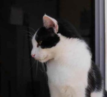 Rocky Bild von Rocky