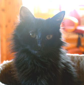 Mavi Bild von Samantha