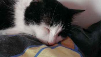 Bild von Takas