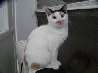 Miss Sodfa Bild von Miss Sodfa