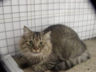 Benny Bild von Benny