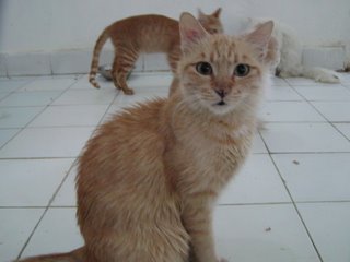 Vivian Bild von Vivian