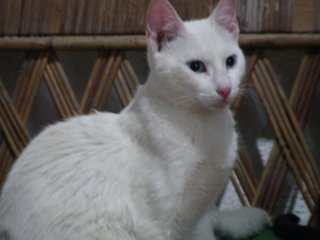 Margo Bild von Margo