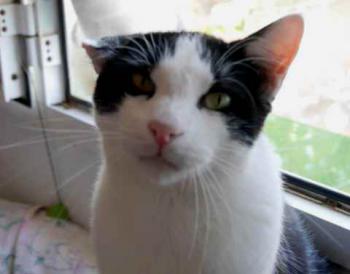 Rocky Bild von Rocky