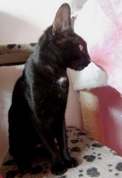 Bild von Flo
