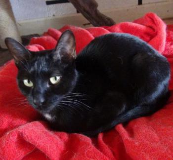 Bild von Flo