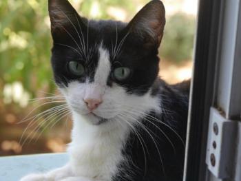 Fritzi Bild von Fritzi