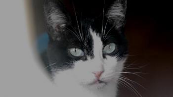 Fritzi Bild von Fritzi