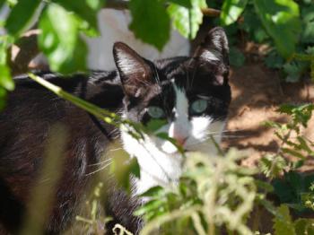Fritzi Bild von Fritzi