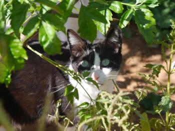 Fritzi Bild von Fritzi