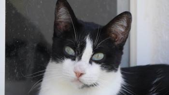 Fritzi Bild von Fritzi