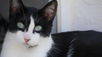 Fritzi Bild von Fritzi
