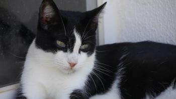 Fritzi Bild von Fritzi