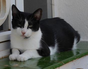 Fritzi Bild von Fritzi
