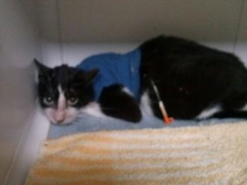 Fritzi Bild von Fritzi
