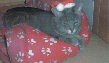 Debi Bild von Deborah