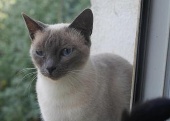 Bild von Isra