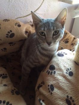 Bild von Sookie