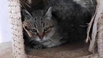 Bild von Patita