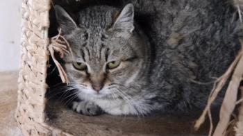 Bild von Patita