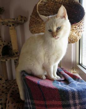 Bild von Taya
