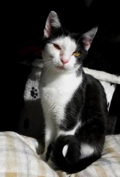 Elfriede Bild von Elfriede