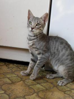 Bild von Sookie