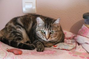 Fiona Bild von Fiona