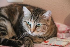 Fiona Bild von Fiona