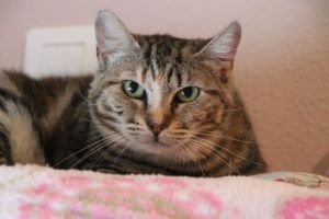 Fiona Bild von Fiona