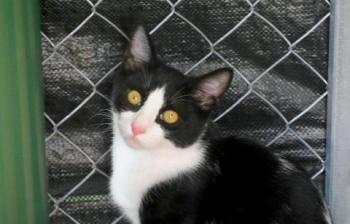 Curro Bild von Curro
